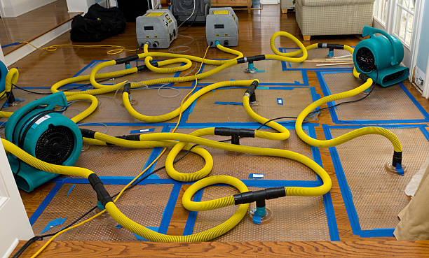 Professional Crawl Space Water Removal technician working in Sullivan, OH
